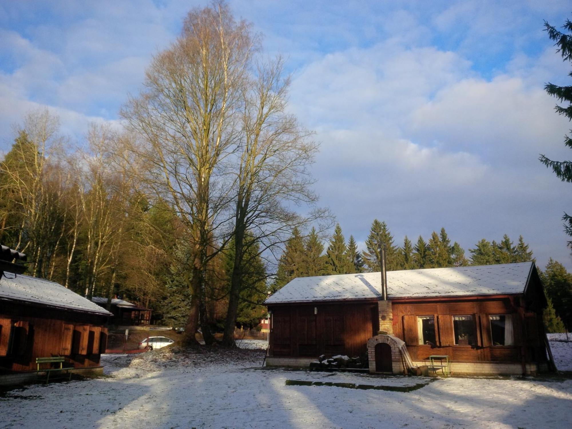Lesni 
