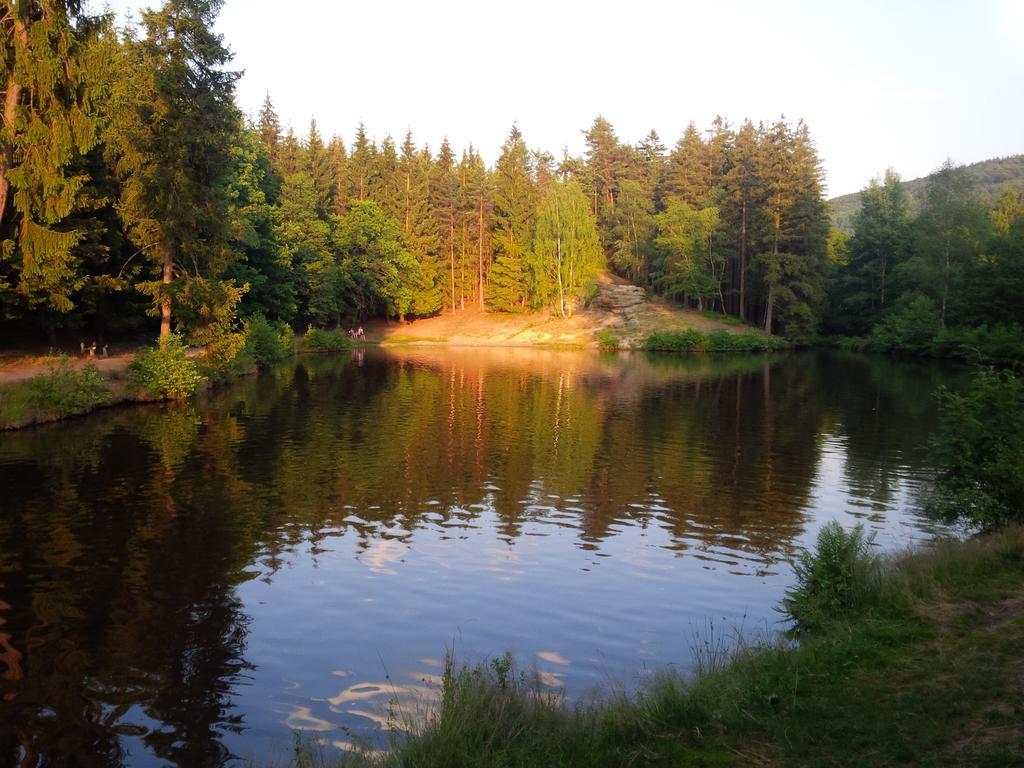 Lesni 