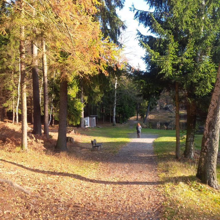 Lesni 