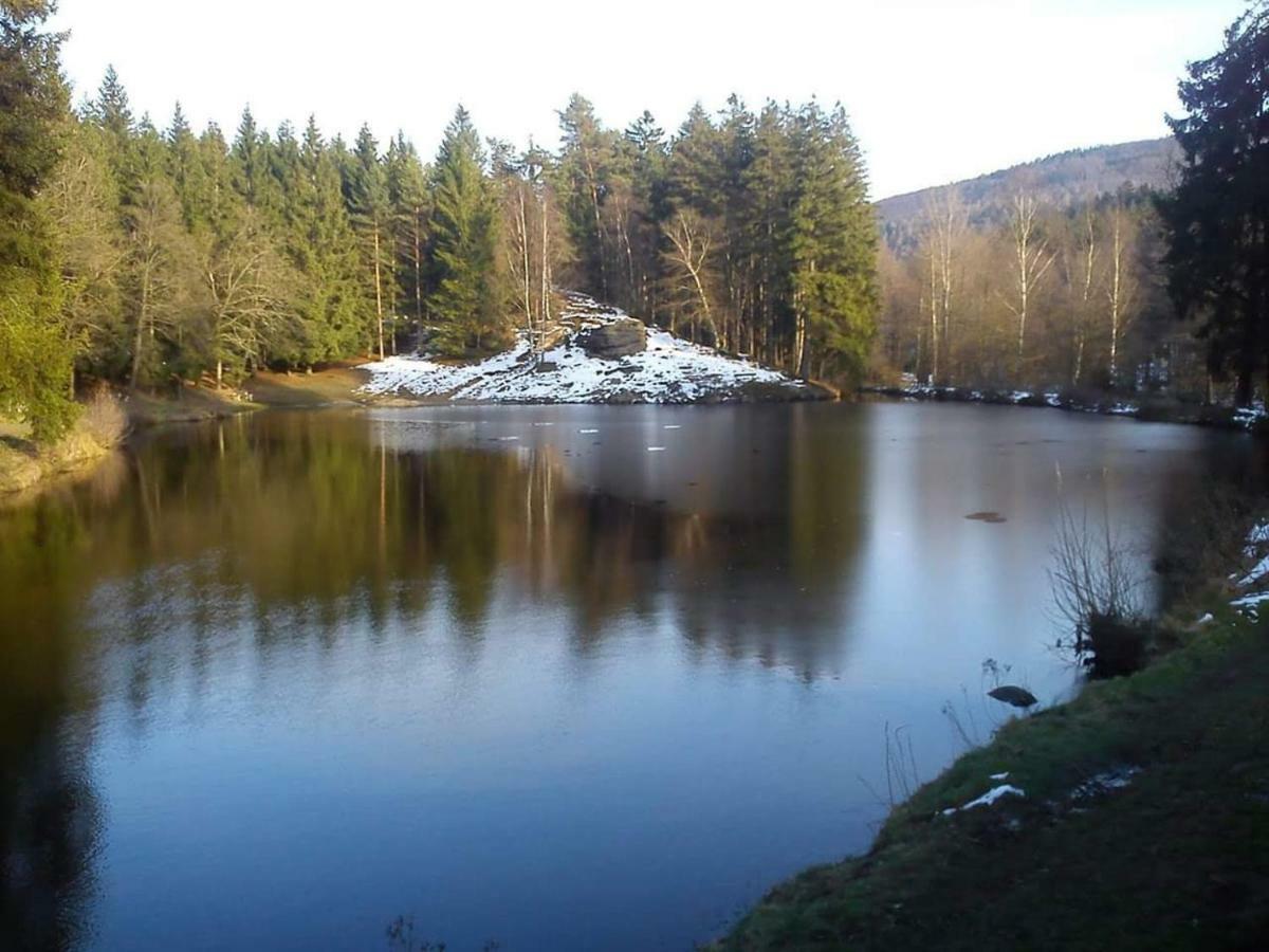 Lesni 