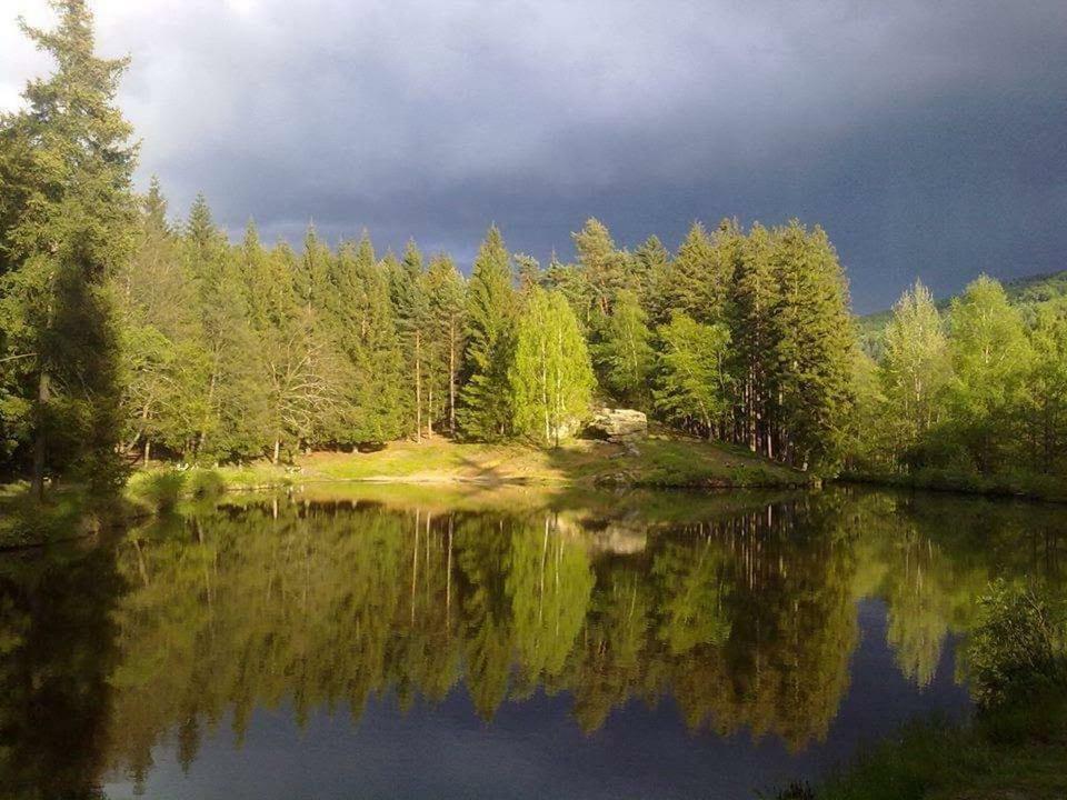 Lodge Lesni 